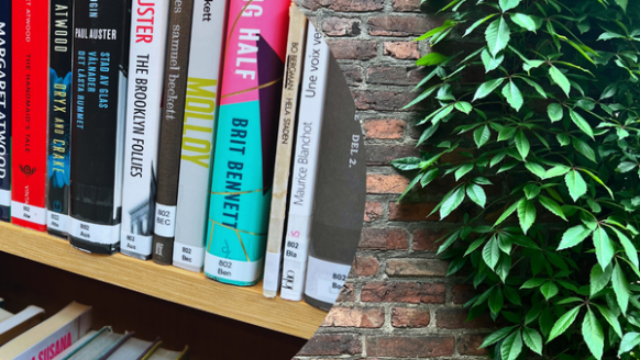 Collage of brick wall and fictional library books.