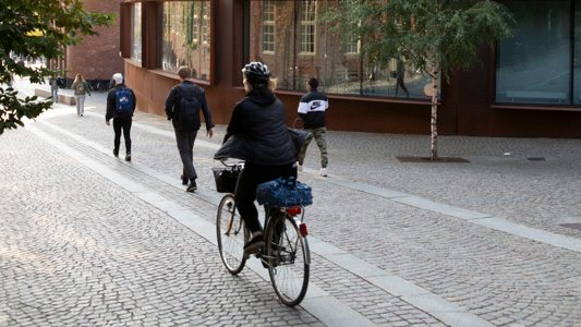 bicycle on campus