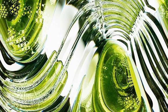 Abstract image in green