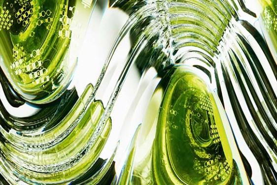 Abstract image in green