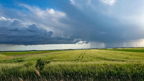 Fields and blue skies.