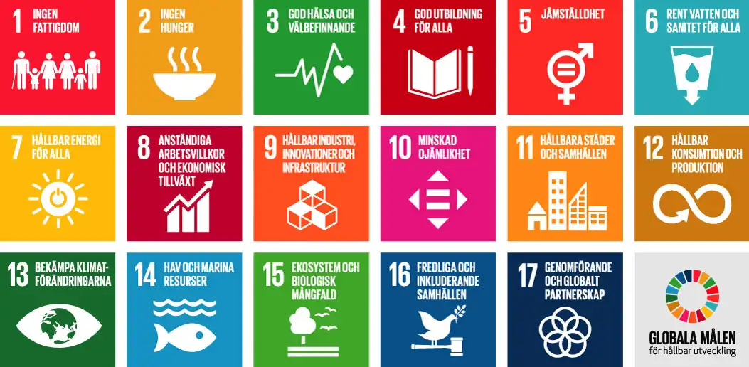 All sustainable development goals (SDG)