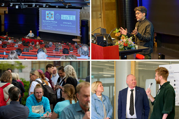 Photo collage from Storträffen Meetup