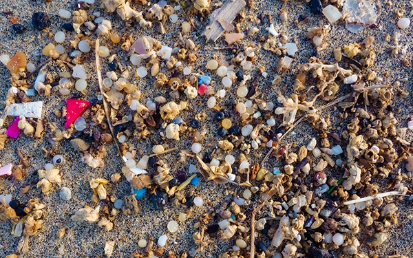 Microplastics on a beach