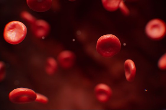 Blood cells.
