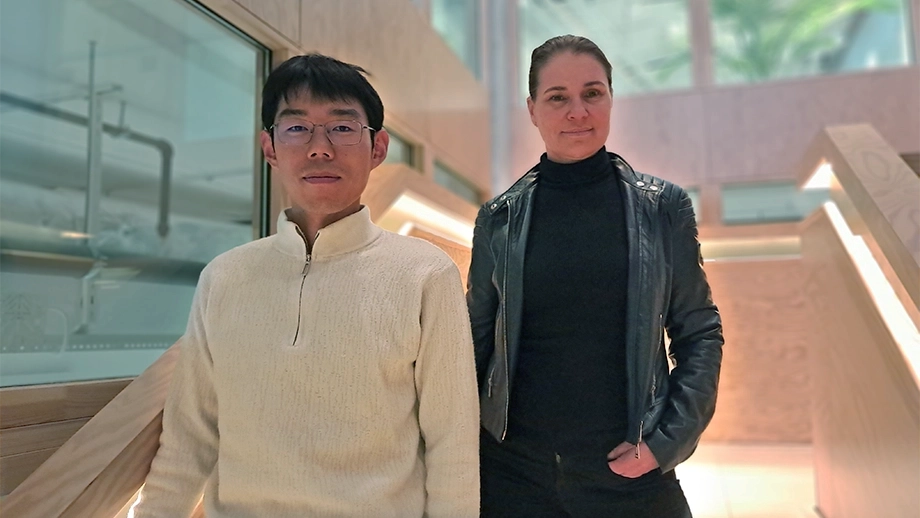 two researchers