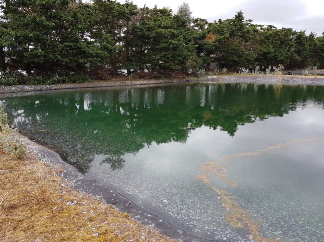 människor i ett mässtält