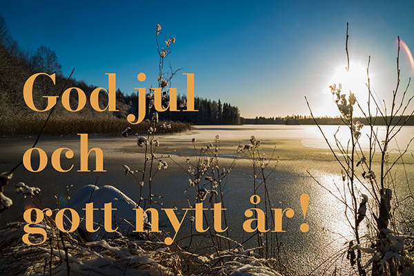 en julhälsning på en bild av en frusen sjö